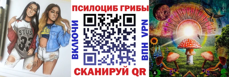 Псилоцибиновые грибы Cubensis  Купить где  Печоры 