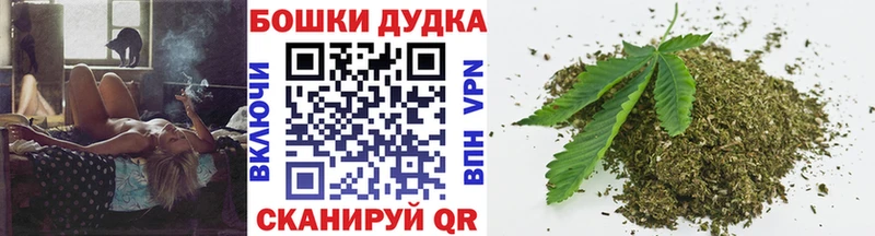 Бошки Шишки планчик Печоры